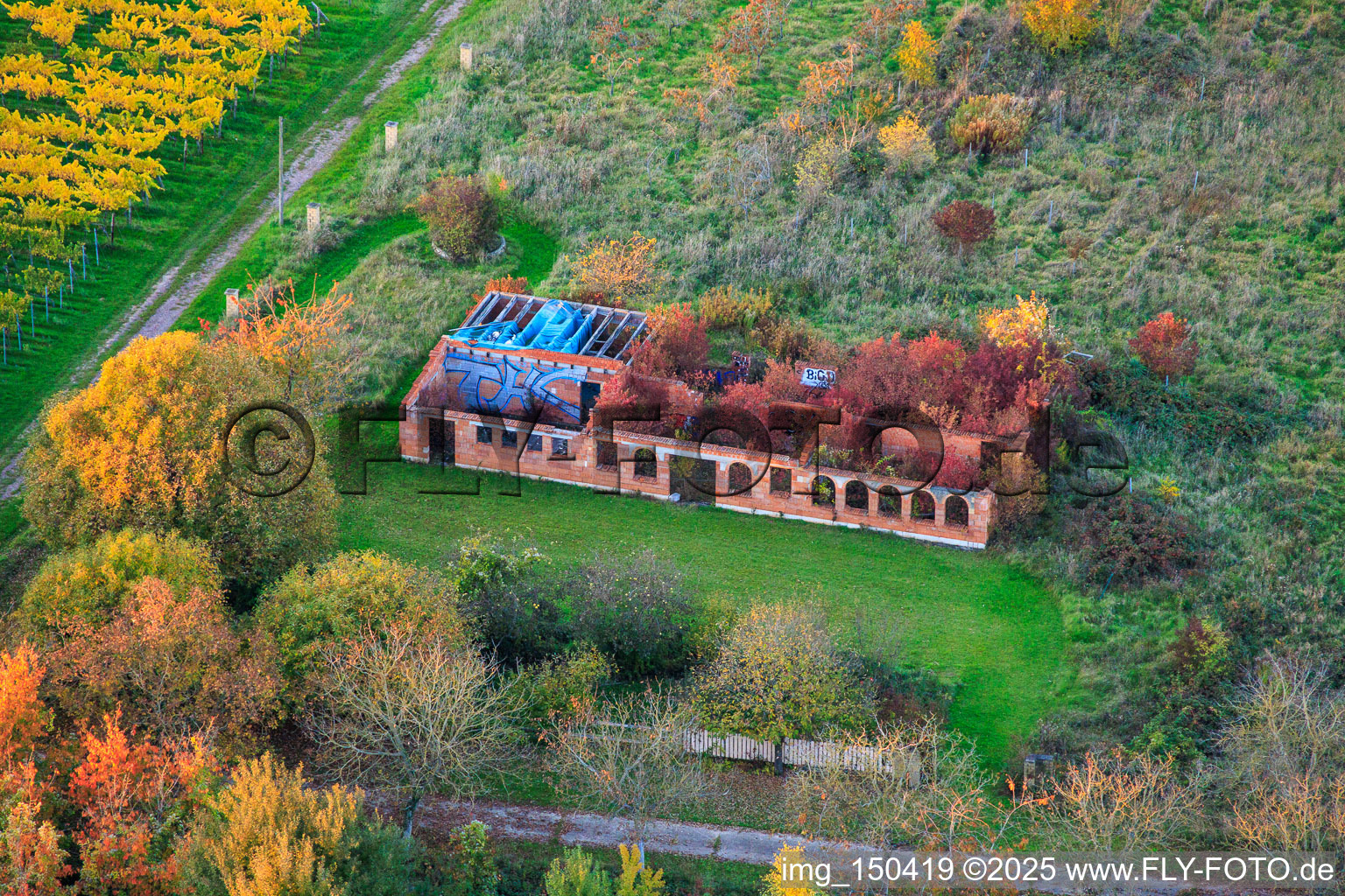 Overgrown, roofless building ruin in a field in Barbelroth in the state Rhineland-Palatinate, Germany