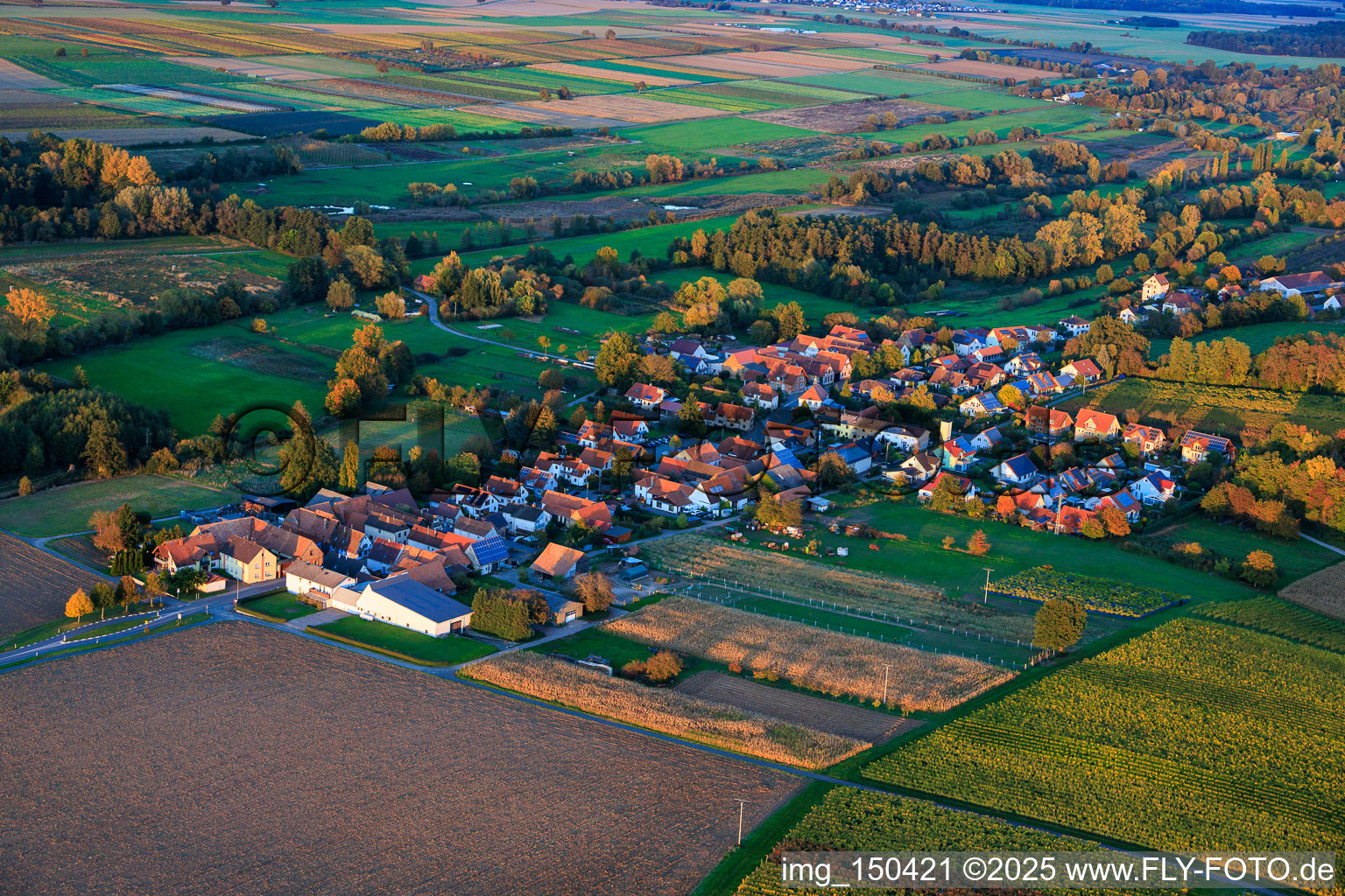 Aerial view of From the southwest in Hergersweiler in the state Rhineland-Palatinate, Germany