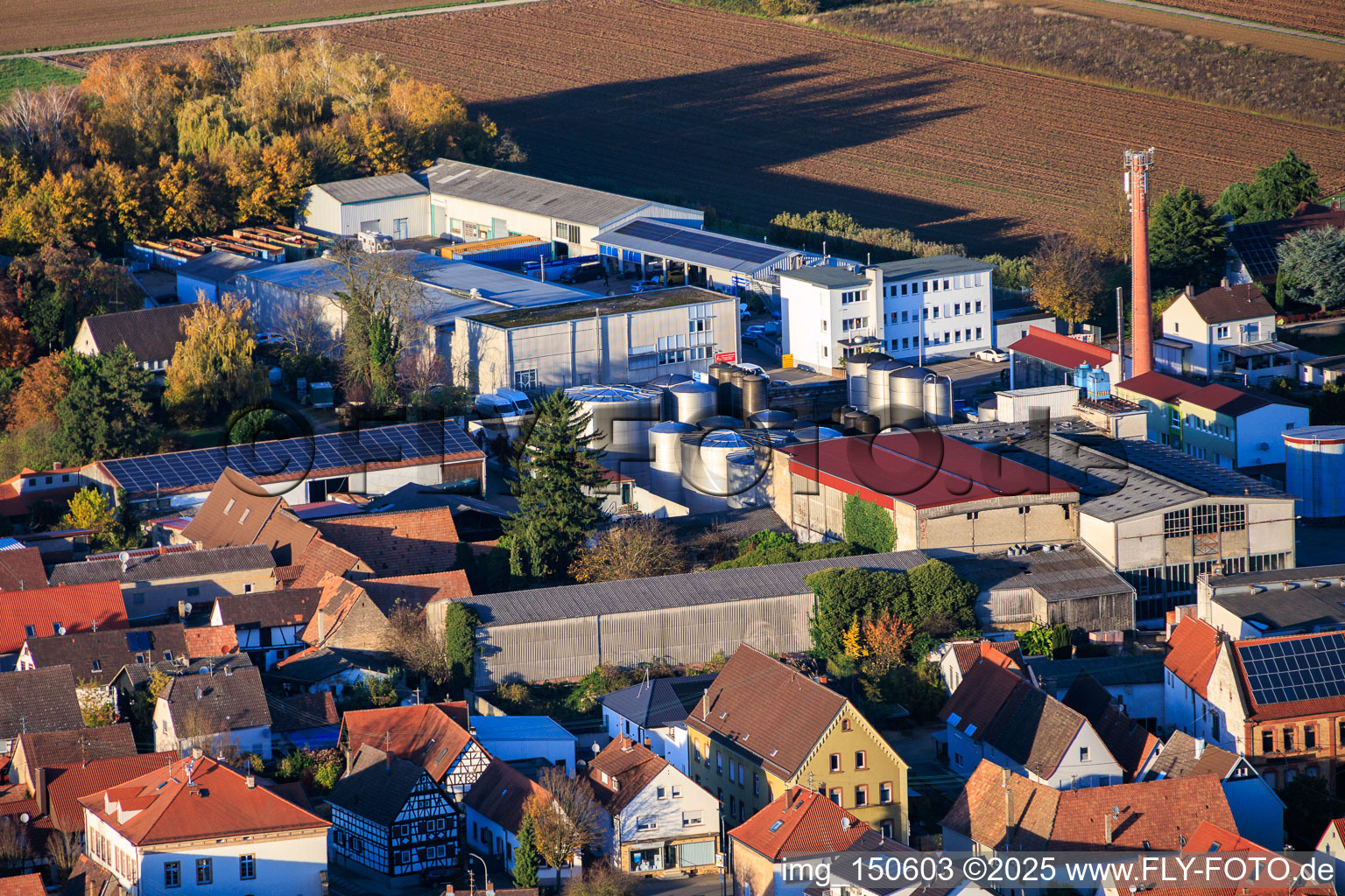 Löwen-Brennerei GmbH, Weingut Johler GbR and Gabriele Bönicke - Transport & Trading in the district Niederlustadt in Lustadt in the state Rhineland-Palatinate, Germany