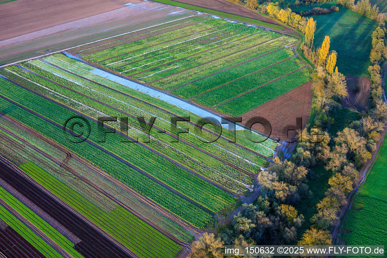 Vegetable and onion fields by the Kaltenbach stream in Freisbach in the state Rhineland-Palatinate, Germany