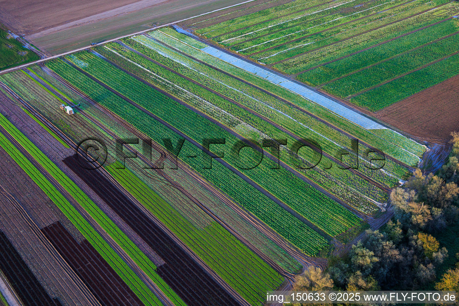 Aerial view of Vegetable and onion fields by the Kaltenbach stream in Freisbach in the state Rhineland-Palatinate, Germany
