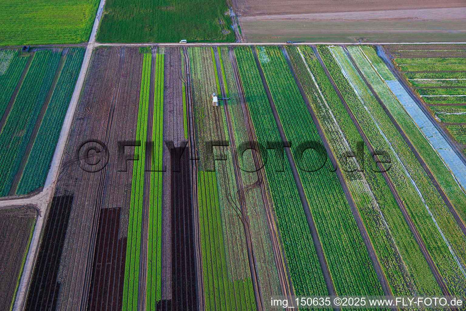 Aerial photograpy of Vegetable and onion fields by the Kaltenbach stream in Freisbach in the state Rhineland-Palatinate, Germany