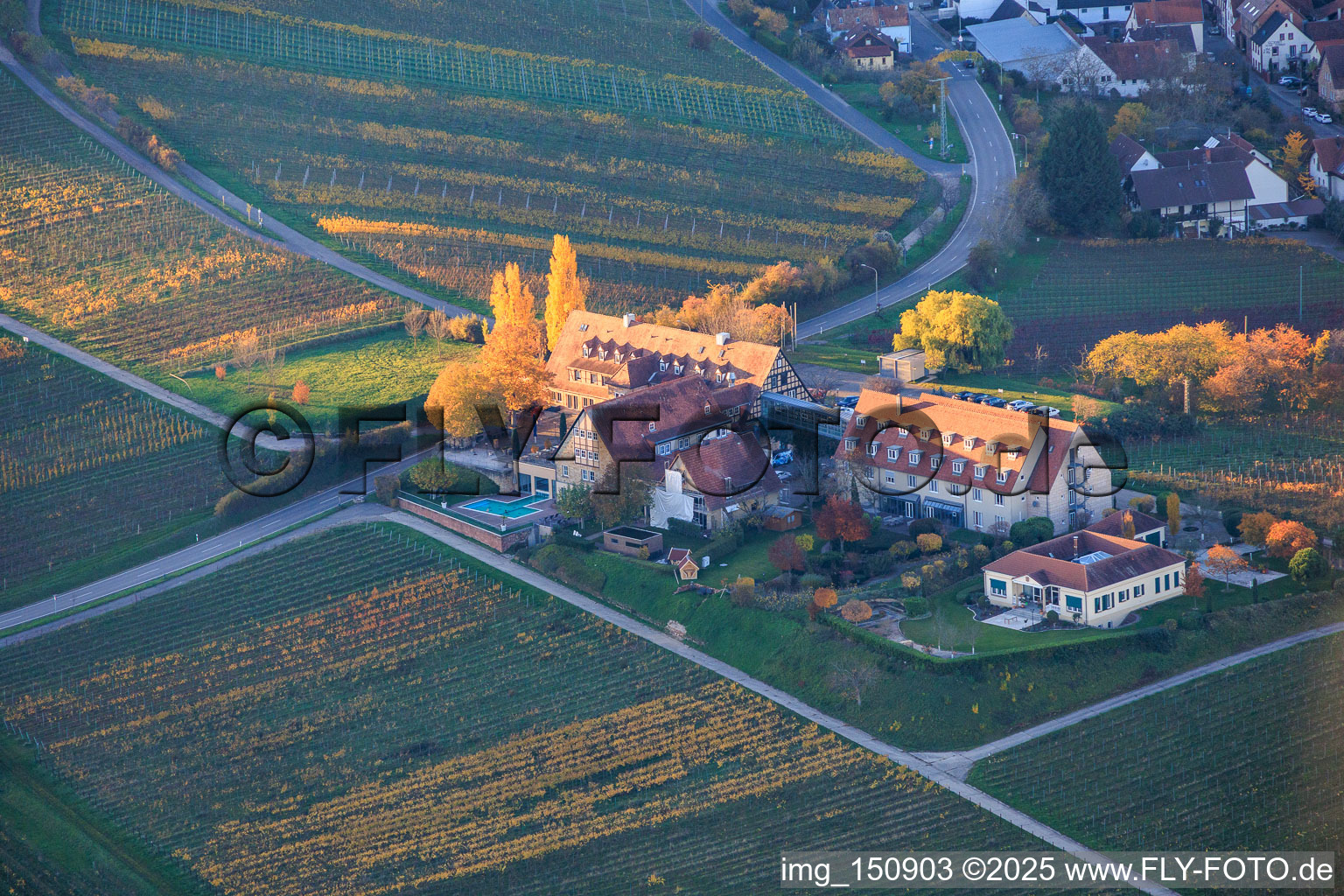 Leinsweilerhof in autumn in Leinsweiler in the state Rhineland-Palatinate, Germany
