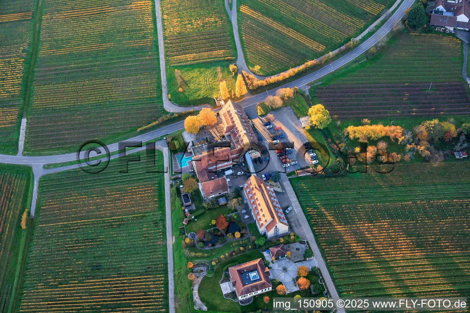 Aerial view of Leinsweilerhof in autumn in Leinsweiler in the state Rhineland-Palatinate, Germany
