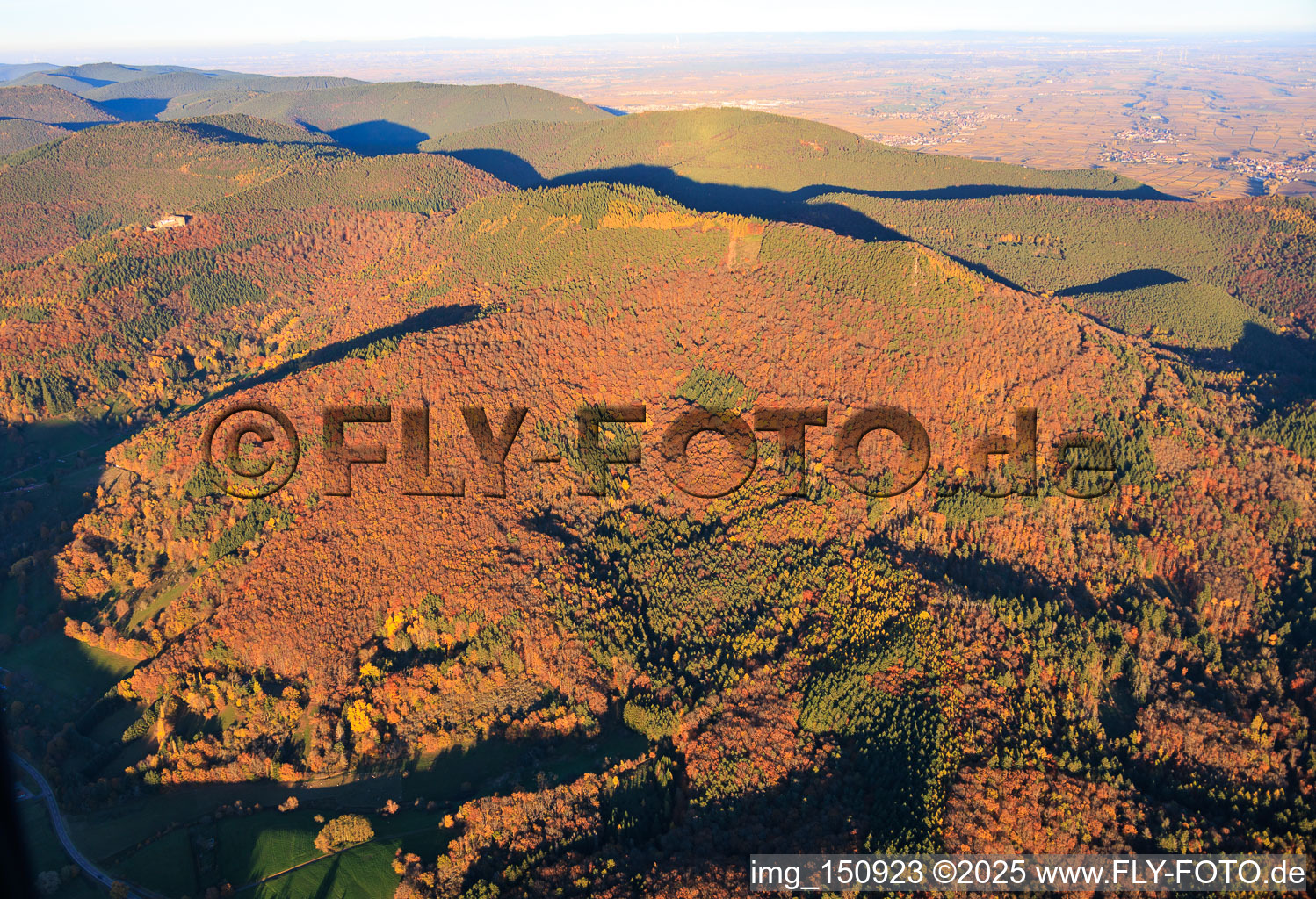 Autumn forest below the Ohrensfels in Frankweiler in the state Rhineland-Palatinate, Germany