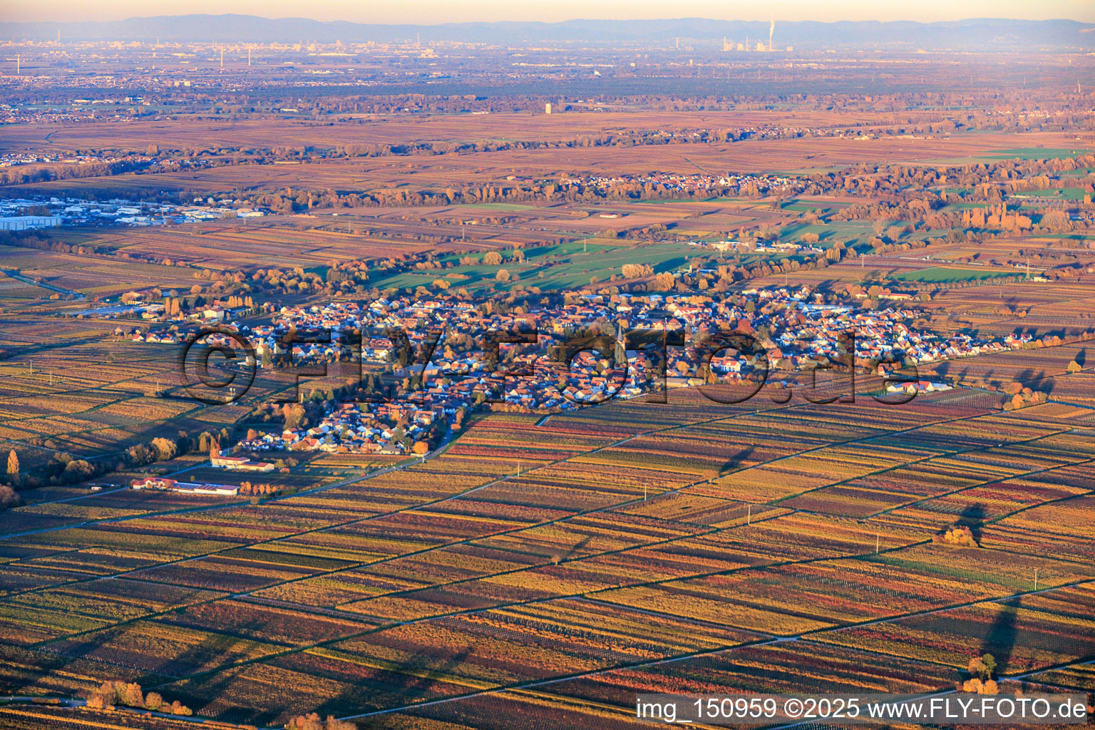 View of the village amidst autumn-colored vineyards from the southwest in the evening light in Edesheim in the state Rhineland-Palatinate, Germany