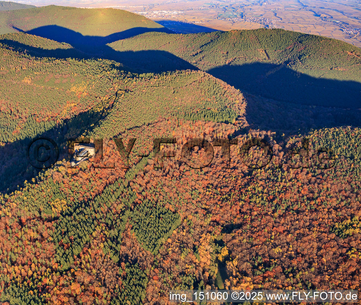 Neuscharfeneck castle ruins in the autumnal forest in Flemlingen in the state Rhineland-Palatinate, Germany