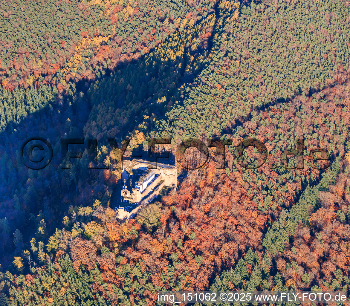 Aerial view of Neuscharfeneck castle ruins in the autumnal forest in Flemlingen in the state Rhineland-Palatinate, Germany