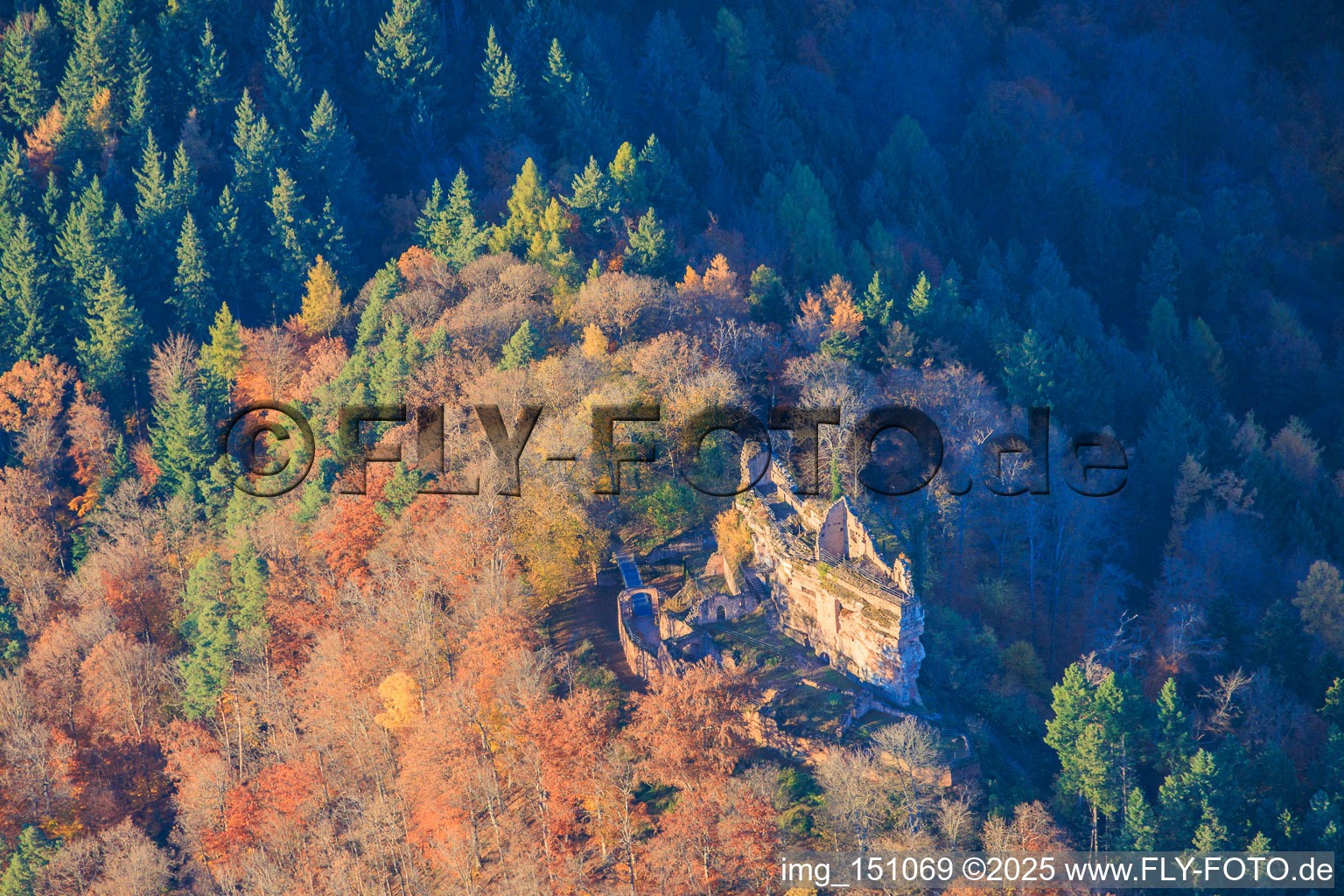 Aerial photograpy of Meisteresel Castle ruins in the autumnal forest in Ramberg in the state Rhineland-Palatinate, Germany