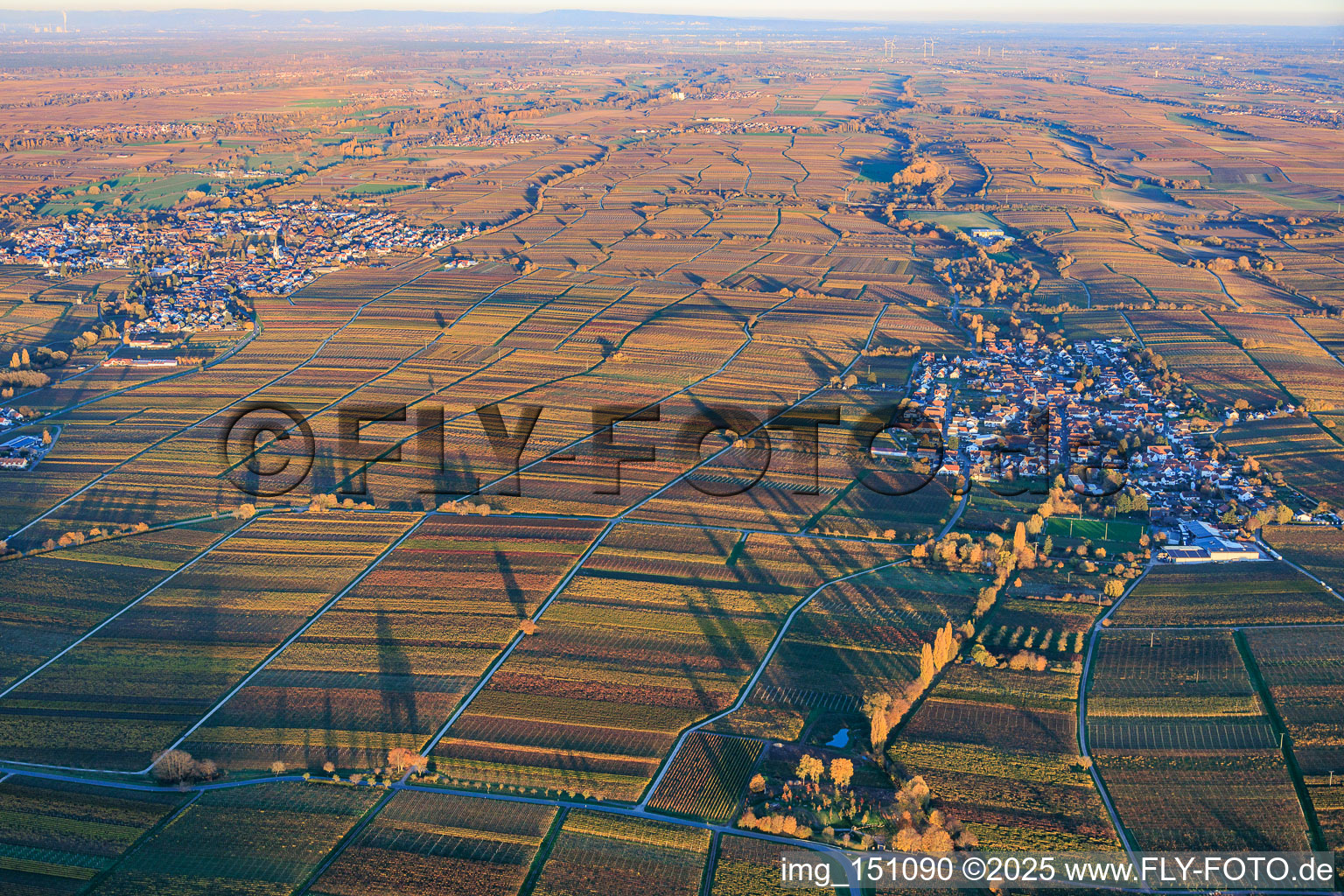 Aerial photograpy of View of the village from the west, nestled between vineyards colored with autumnal hues, in the evening light. in Roschbach in the state Rhineland-Palatinate, Germany