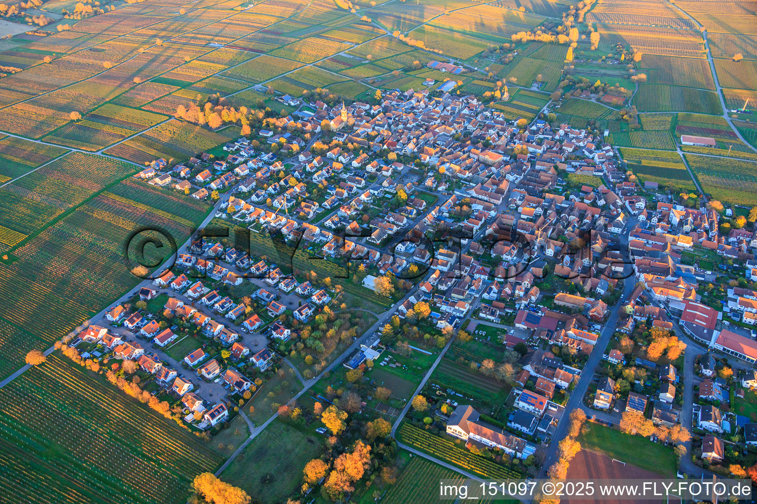 View of the village amidst autumn-colored vineyards from the southwest in the evening light in the district Nußdorf in Landau in der Pfalz in the state Rhineland-Palatinate, Germany