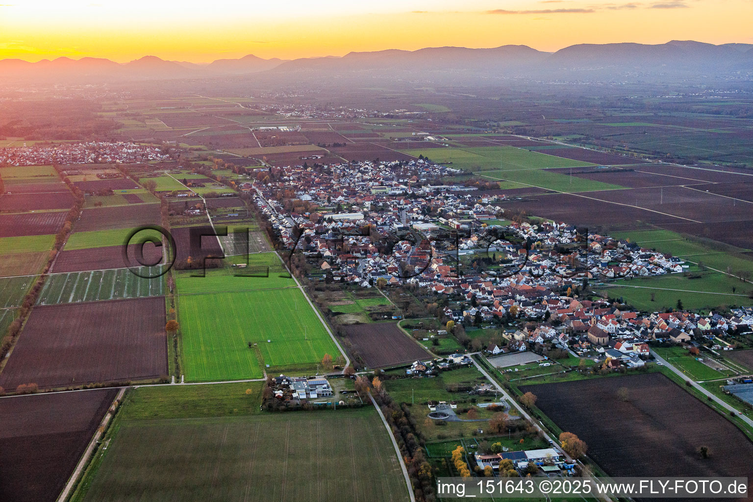 Aerial view of From the east in the district Niederlustadt in Lustadt in the state Rhineland-Palatinate, Germany