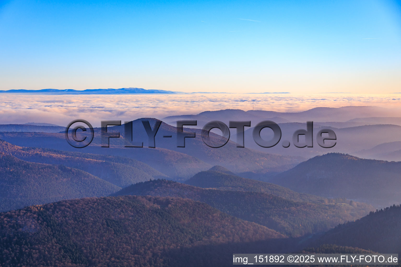 View towards the Black Forest across the Rhine plain in clouds in the district Schweigen in Schweigen-Rechtenbach in the state Rhineland-Palatinate, Germany
