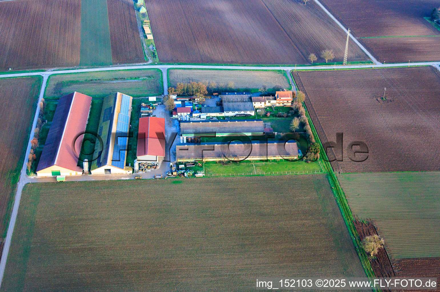 Wilfried Günther Turkey Farm and Klosterhof Vegetables GbR in Zeiskam in the state Rhineland-Palatinate, Germany