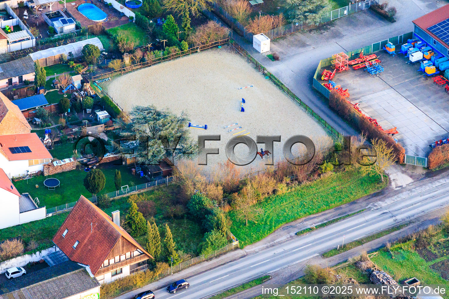 Horse paddock in Zeiskam in the state Rhineland-Palatinate, Germany