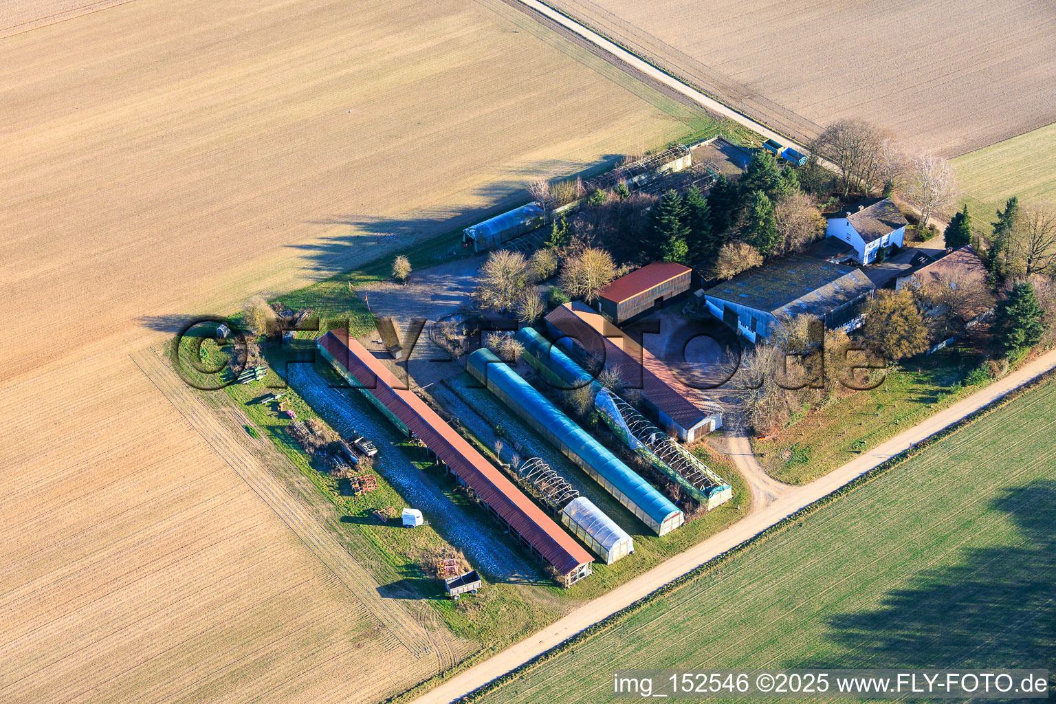 In the Kieseläckern in Wörth am Rhein in the state Rhineland-Palatinate, Germany