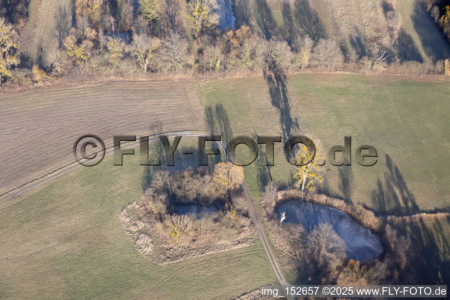 Frozen ponds in the floodplains in Wörth am Rhein in the state Rhineland-Palatinate, Germany
