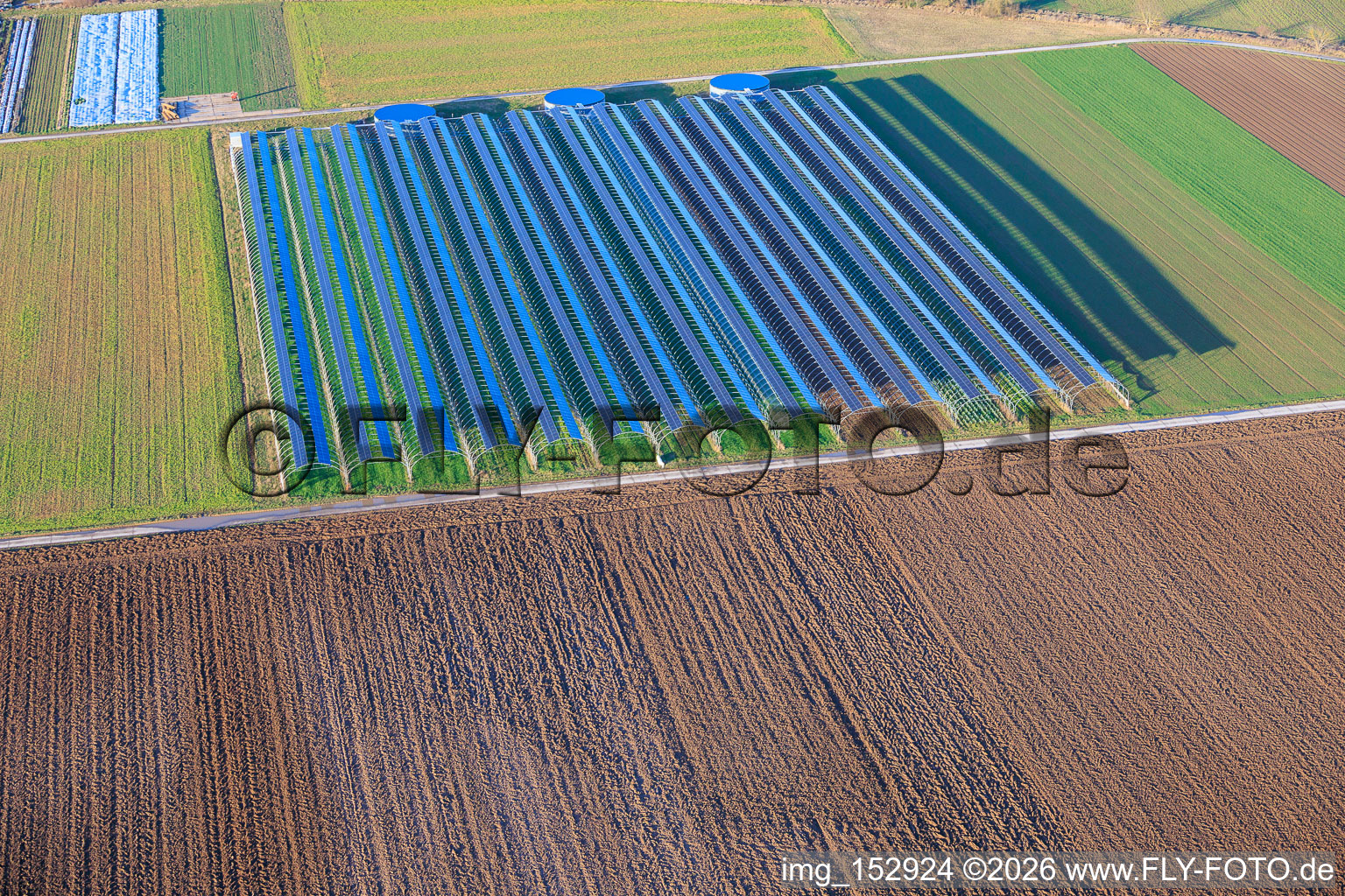 Polytunnel greenhouses in Offenbach an der Queich in the state Rhineland-Palatinate, Germany