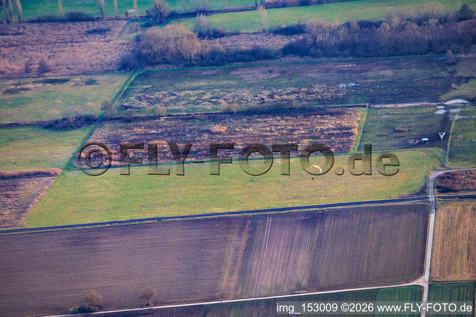Billigheimer Bruch in the district Mühlhofen in Billigheim-Ingenheim in the state Rhineland-Palatinate, Germany