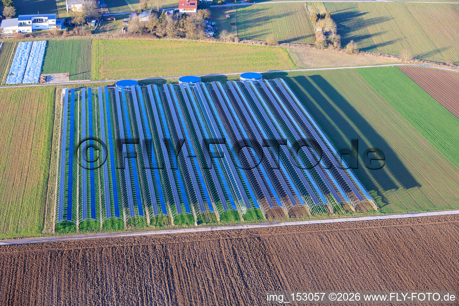 Aerial view of Polytunnel greenhouses in Offenbach an der Queich in the state Rhineland-Palatinate, Germany