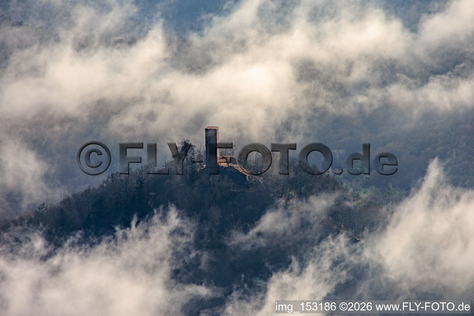 Scharfenberg Castle ruins in Wolken in Leinsweiler in the state Rhineland-Palatinate, Germany