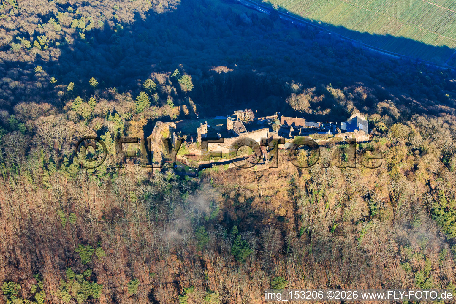 Madenburg castle ruins from the west in Waldhambach in the state Rhineland-Palatinate, Germany