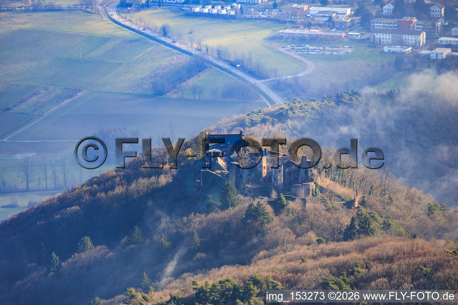 Madenburg castle ruins from the north in Leinsweiler in the state Rhineland-Palatinate, Germany