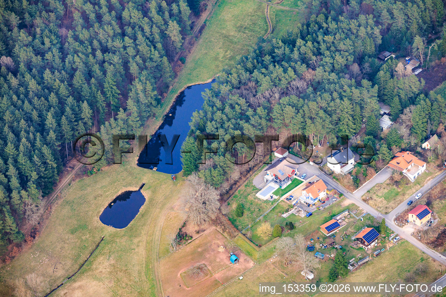 Fish pond in the dammed Hirschbach stream in the district Lauterschwan in Vorderweidenthal in the state Rhineland-Palatinate, Germany
