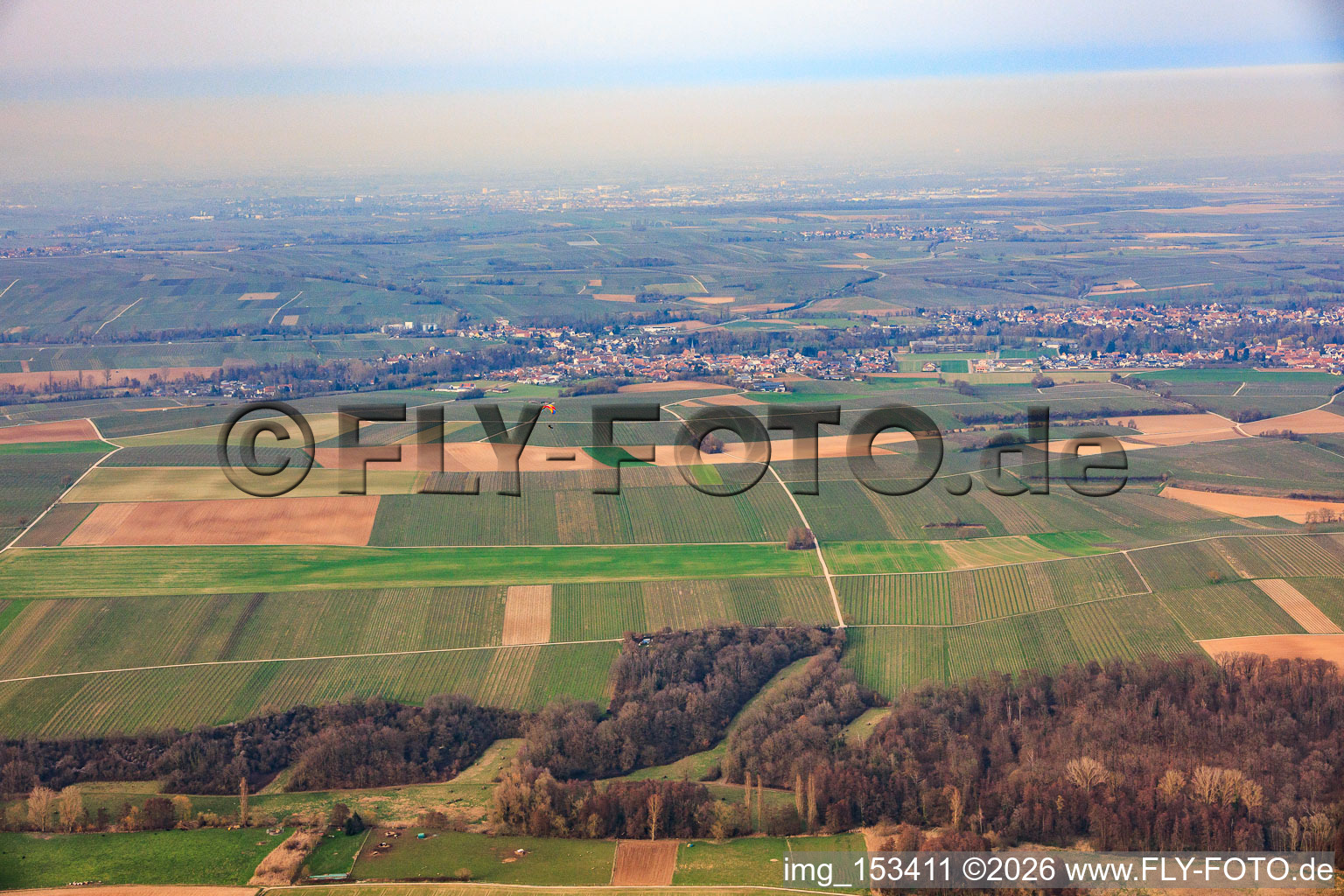 Tiefental from the south in the district Ingenheim in Billigheim-Ingenheim in the state Rhineland-Palatinate, Germany