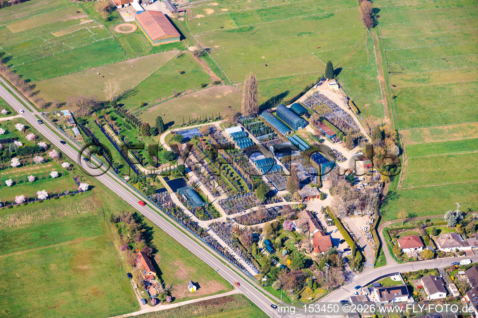 Plant nursery Toskanapark in the district Speyerdorf in Neustadt an der Weinstraße in the state Rhineland-Palatinate, Germany
