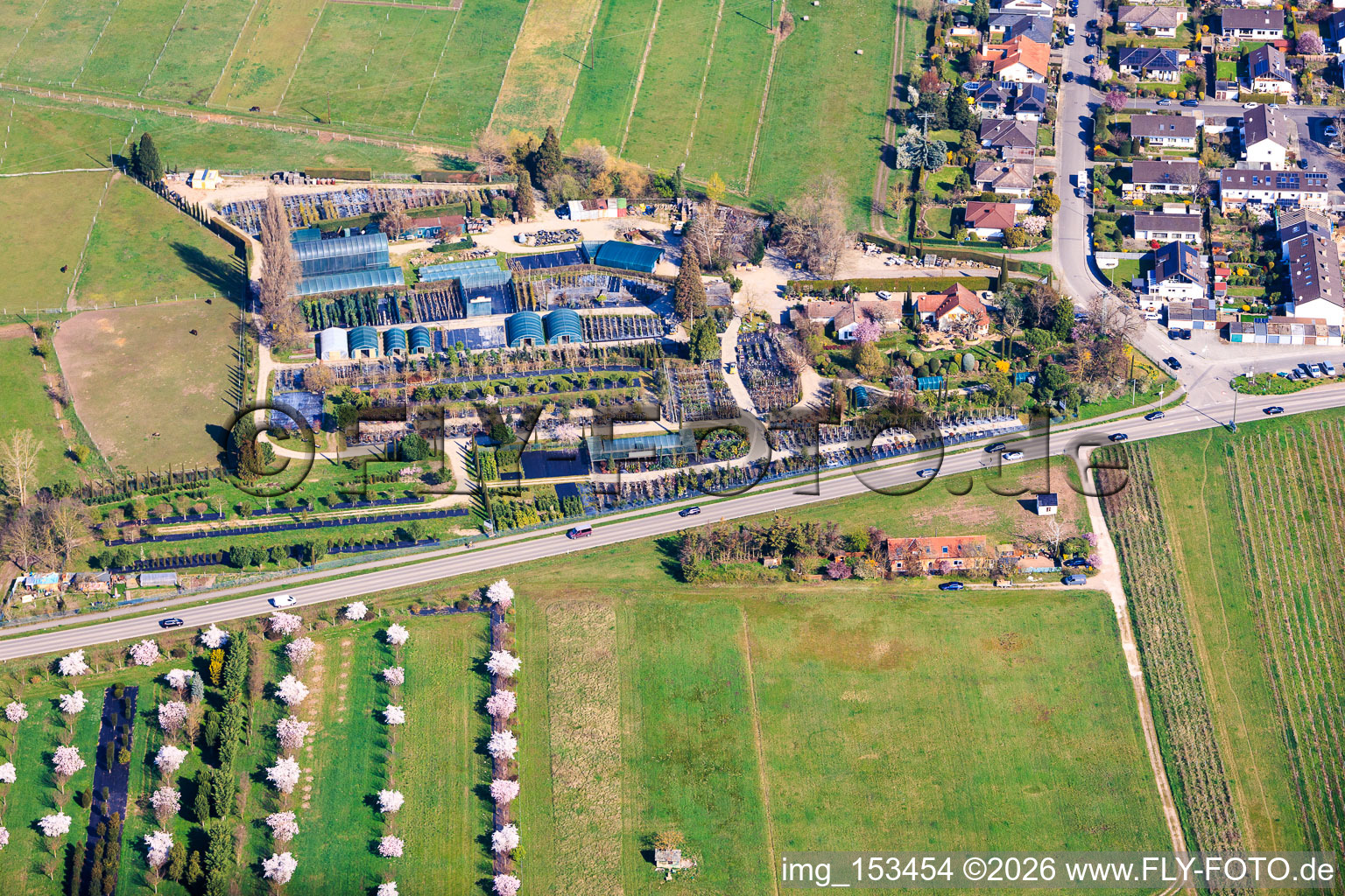 Plant nursery Toskanapark in the district Speyerdorf in Neustadt an der Weinstraße in the state Rhineland-Palatinate, Germany
