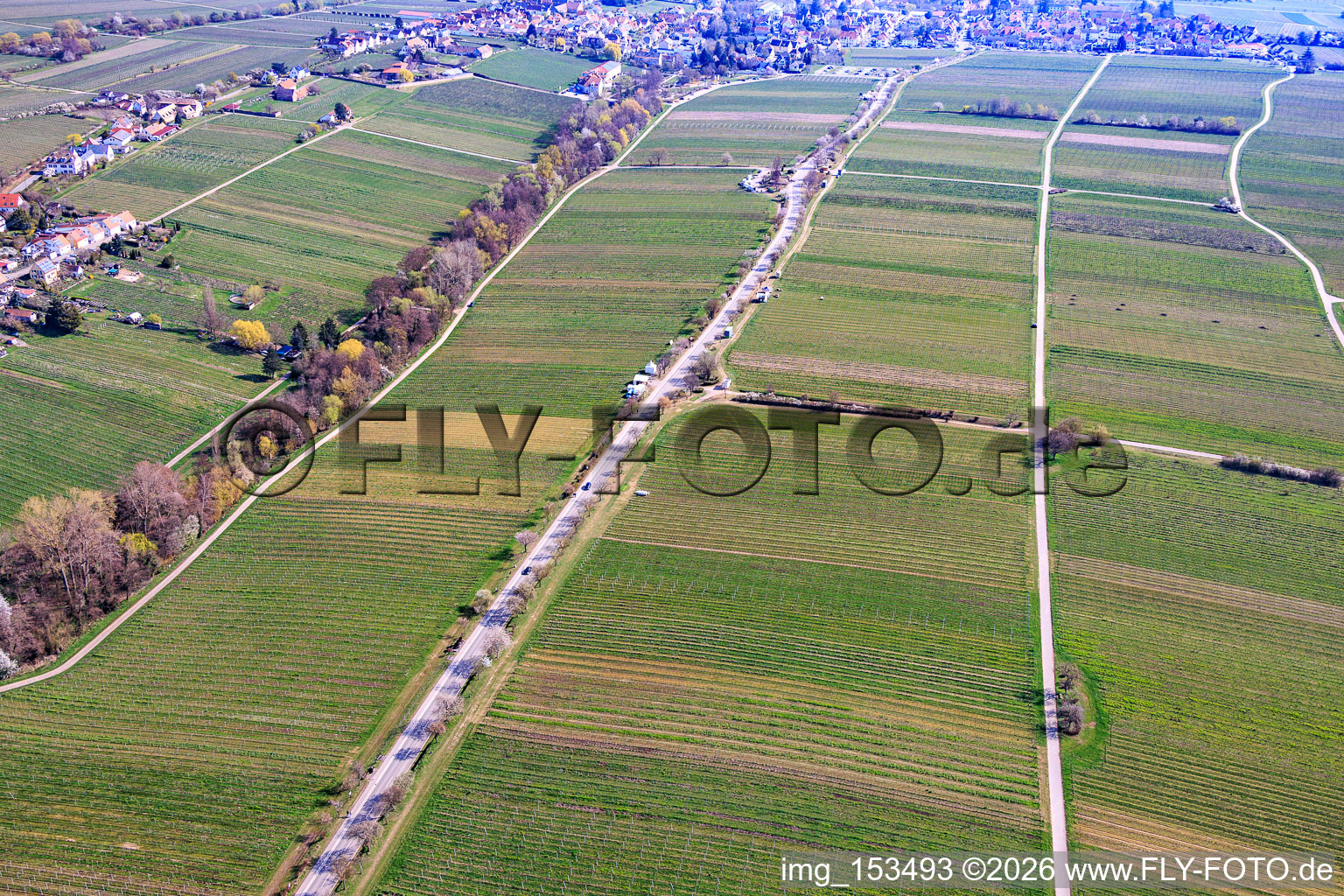 Almond Mile from the southwest (Villa Street) in Edenkoben in the state Rhineland-Palatinate, Germany