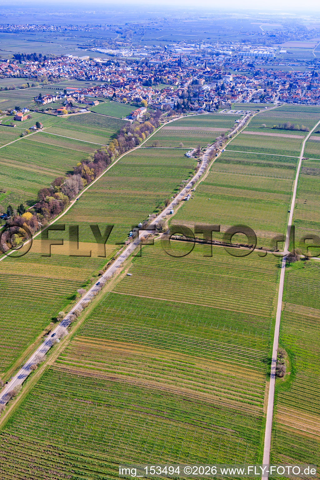 Almond Mile from the southwest (Villa Street) in Edenkoben in the state Rhineland-Palatinate, Germany