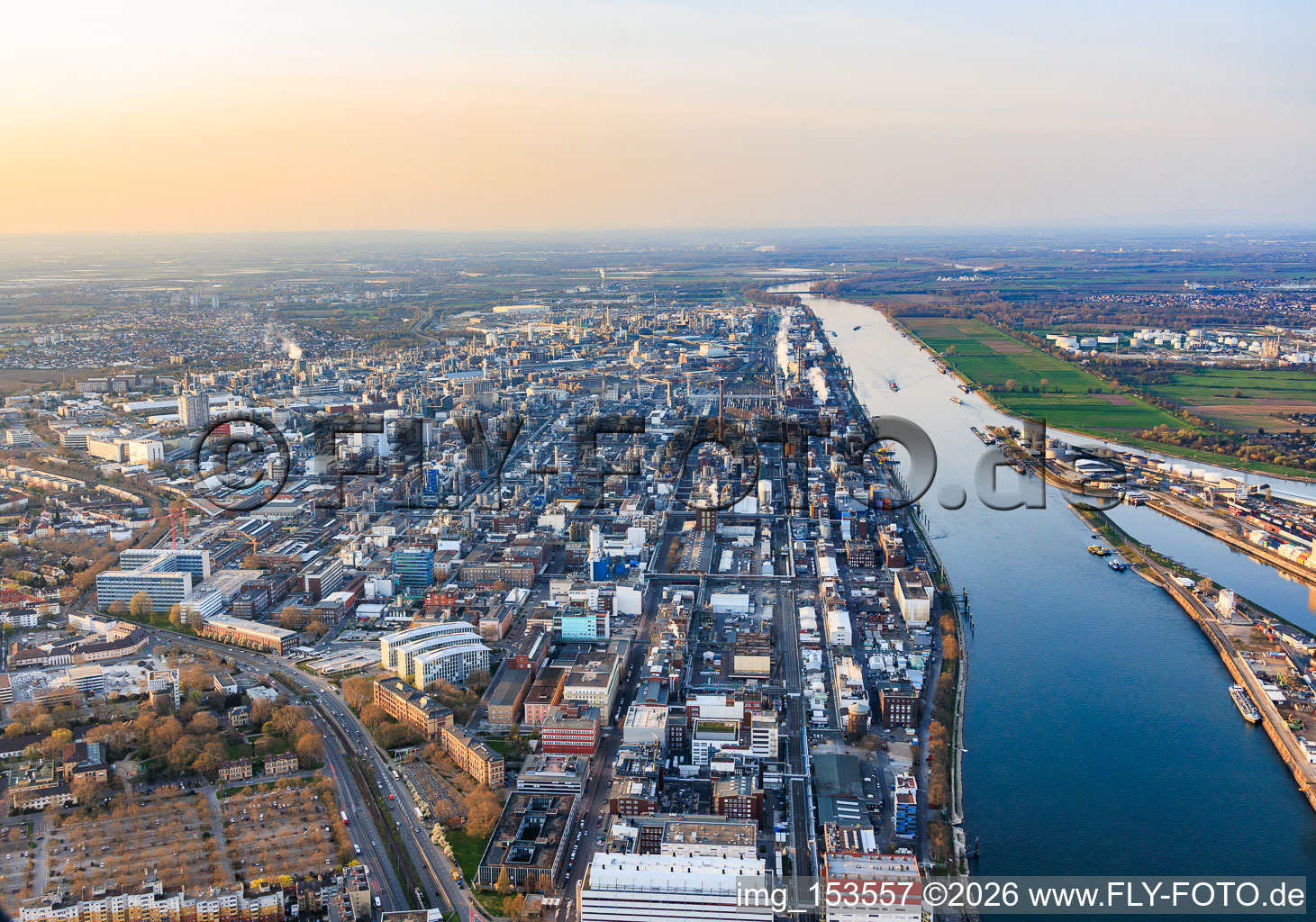 Site on the Rhine riverbank from the south in the district BASF in Ludwigshafen am Rhein in the state Rhineland-Palatinate, Germany