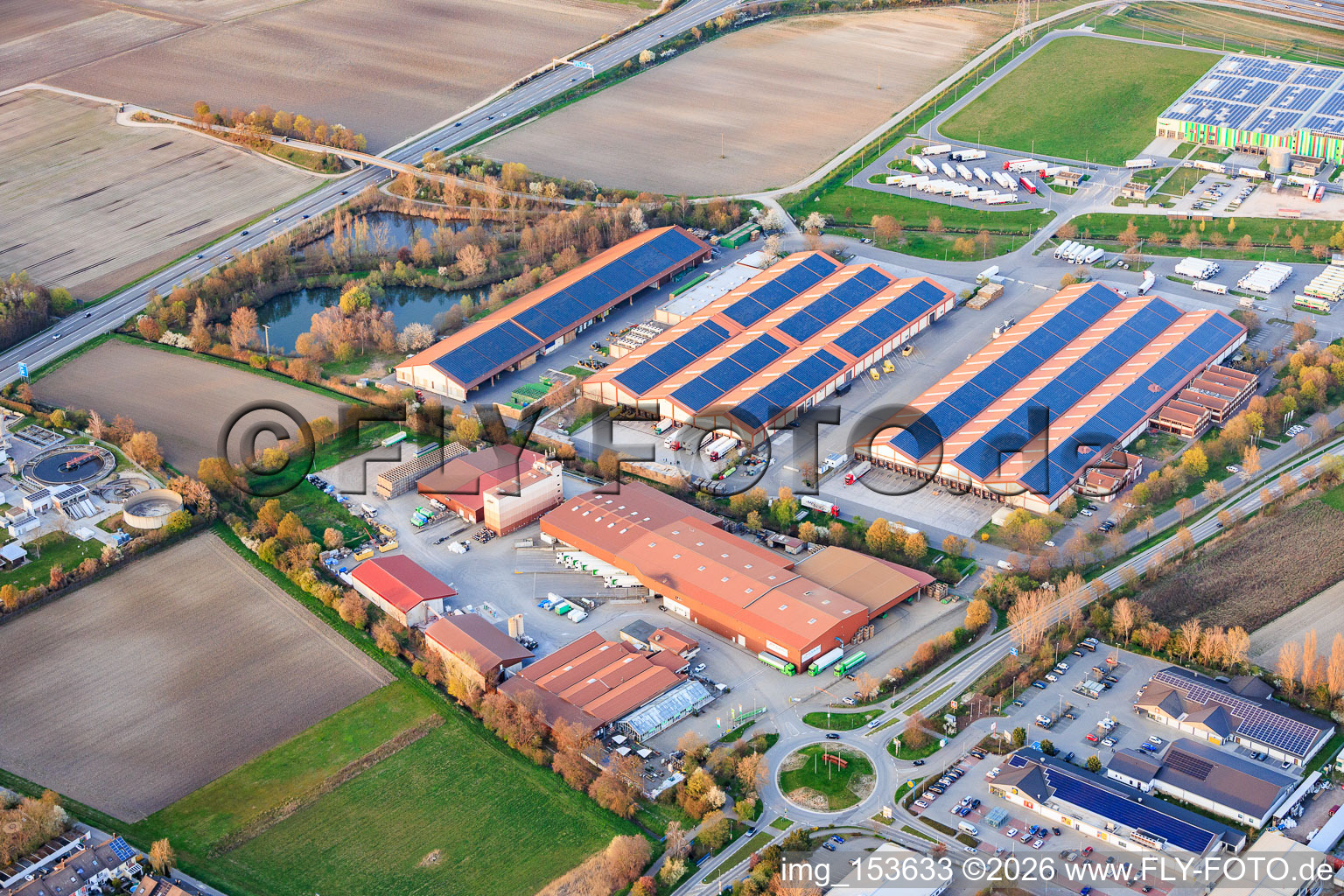 Halls of the Pfalzmarkt for fruit and vegetables eG in Mutterstadt in the state Rhineland-Palatinate, Germany