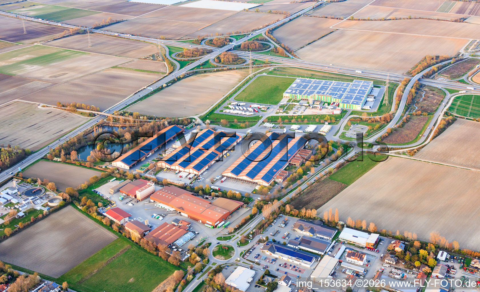 Halls of the Pfalzmarkt for fruit and vegetables eG in Mutterstadt in the state Rhineland-Palatinate, Germany