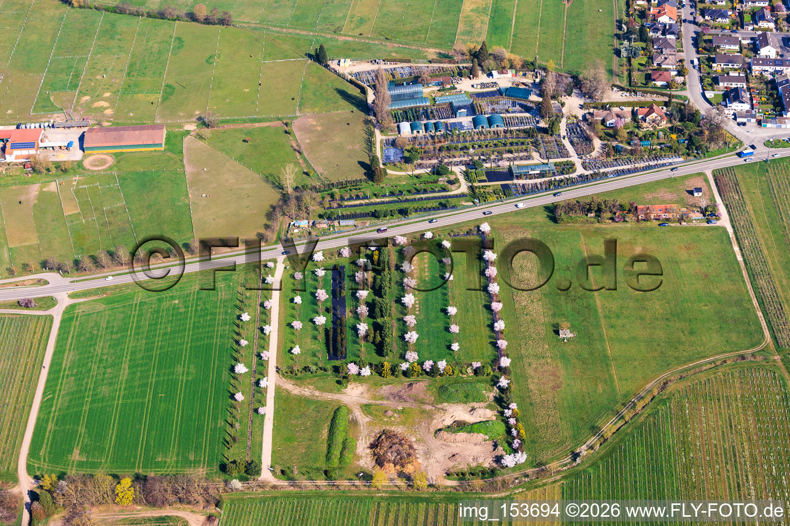 Plant nursery Toskanapark in the district Speyerdorf in Neustadt an der Weinstraße in the state Rhineland-Palatinate, Germany