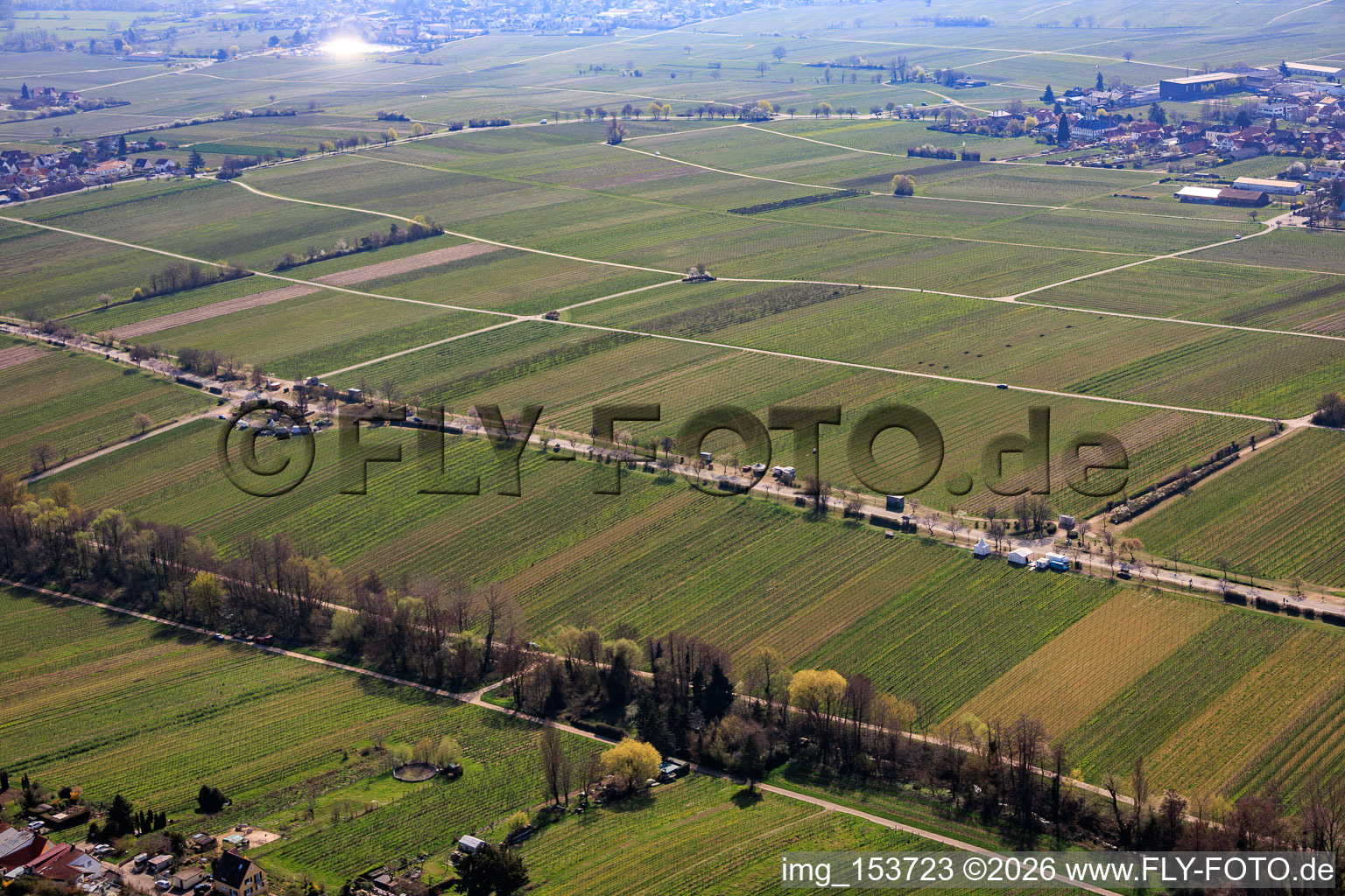 Almond Mile from the north (Villa Street) in Edenkoben in the state Rhineland-Palatinate, Germany