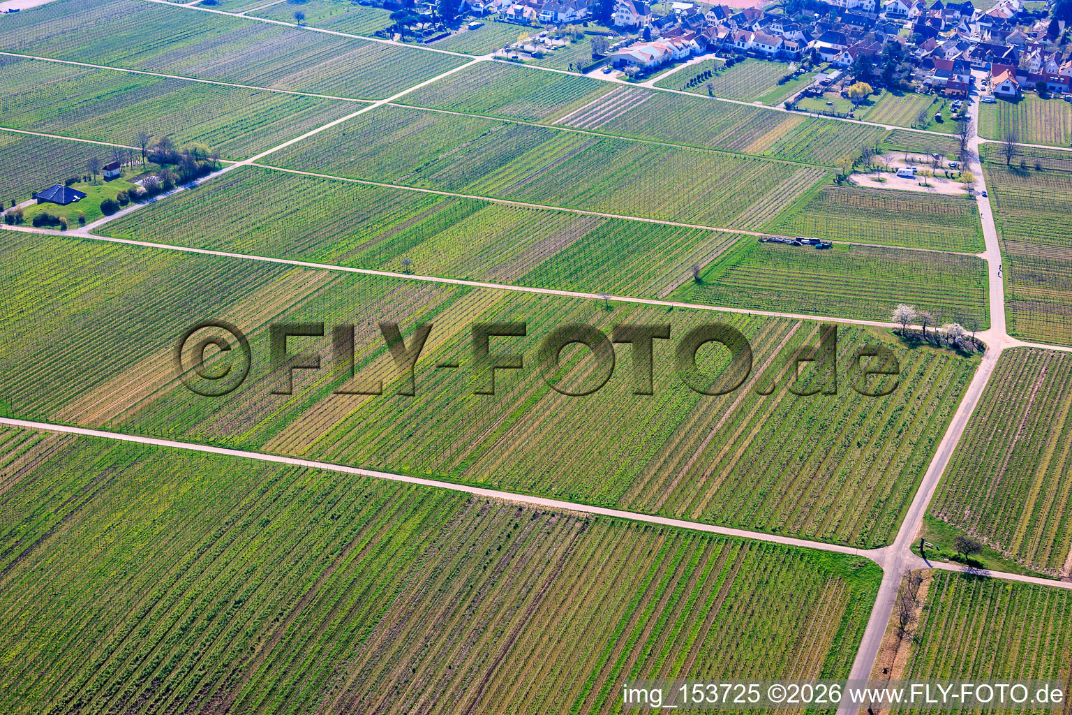 Vineyards and campervan parking area in the north of the village in Rhodt unter Rietburg in the state Rhineland-Palatinate, Germany