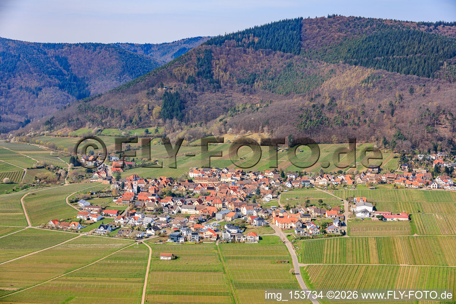 Winegrowers' village seen from the east in spring in Weyher in der Pfalz in the state Rhineland-Palatinate, Germany