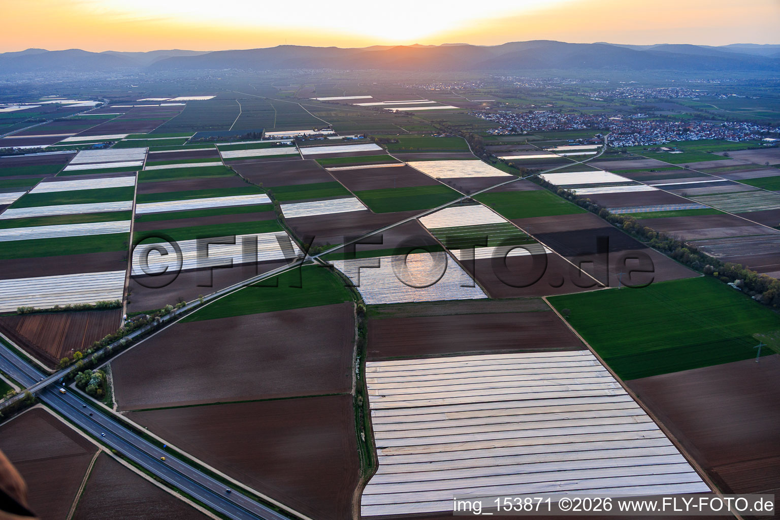 Bats covered with foil in the Vorderpfalz region in Meckenheim in the state Rhineland-Palatinate, Germany