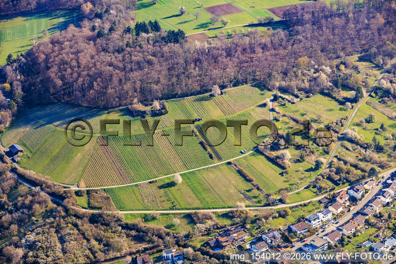 Vineyards of the Dietlinger Klepberg and Ellmendinger Keulebuckel sites in the district Dietlingen in Keltern in the state Baden-Wuerttemberg, Germany