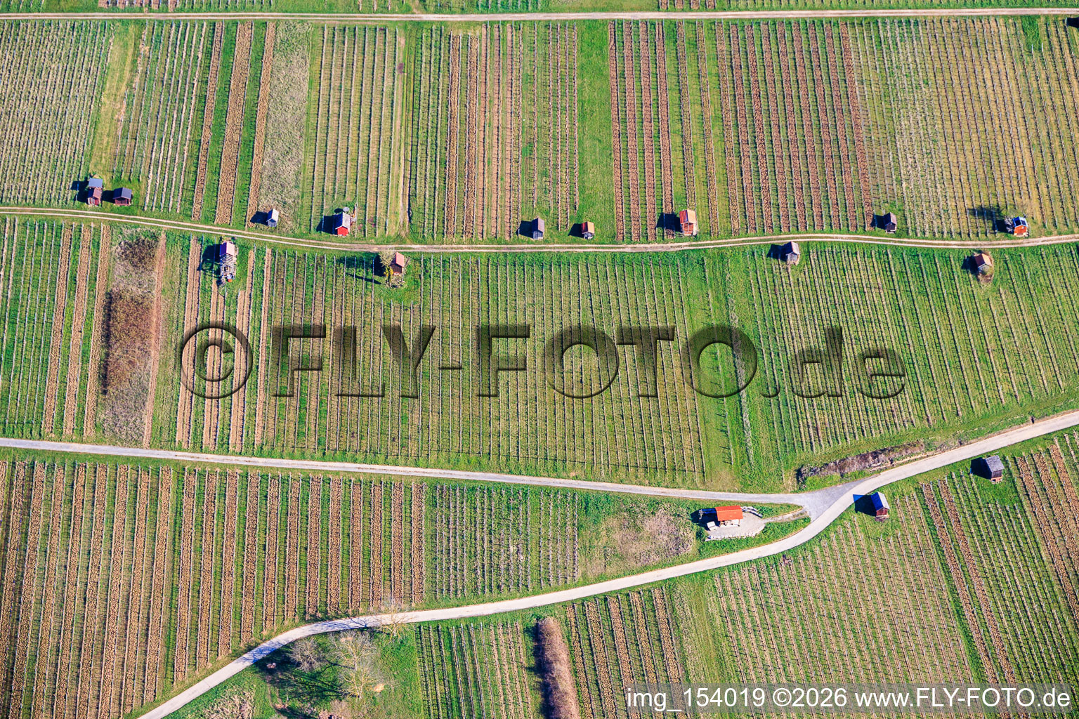 Vineyard huts on the Neuberg of the Dietlinger Klepberg and Ellmendinger Keulebuckel vineyards in the district Dietlingen in Keltern in the state Baden-Wuerttemberg, Germany