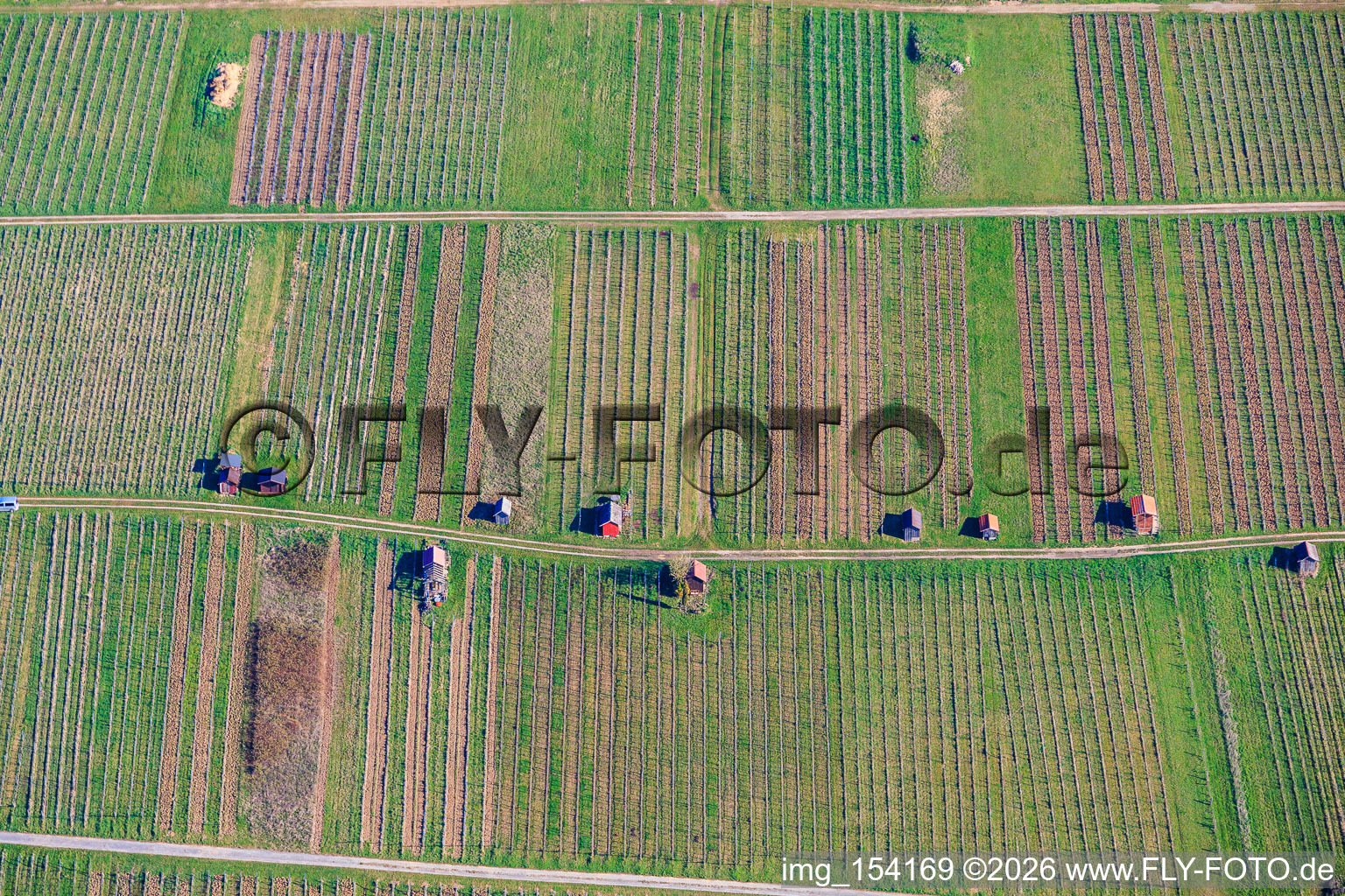 Vineyard huts on the Neuberg of the Dietlinger Klepberg and Ellmendinger Keulebuckel vineyards in the district Dietlingen in Keltern in the state Baden-Wuerttemberg, Germany