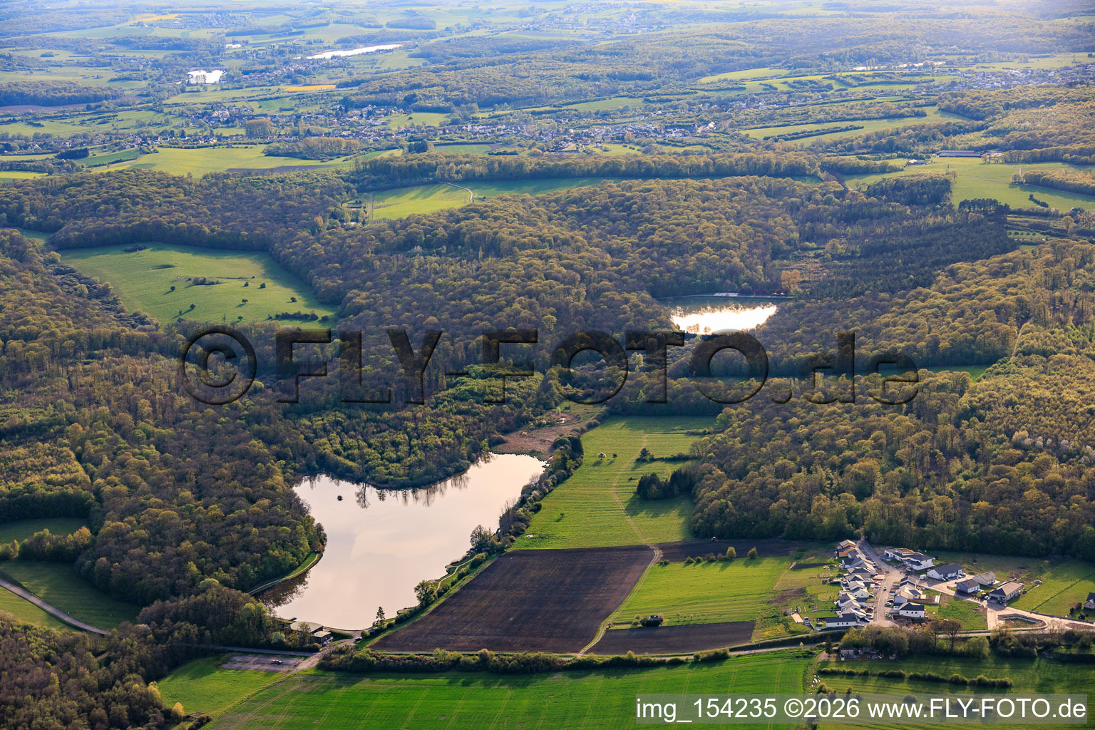 Two fish ponds in the forest Étang de Diebling and Étang de Metzing in Metzing in the state Moselle, France