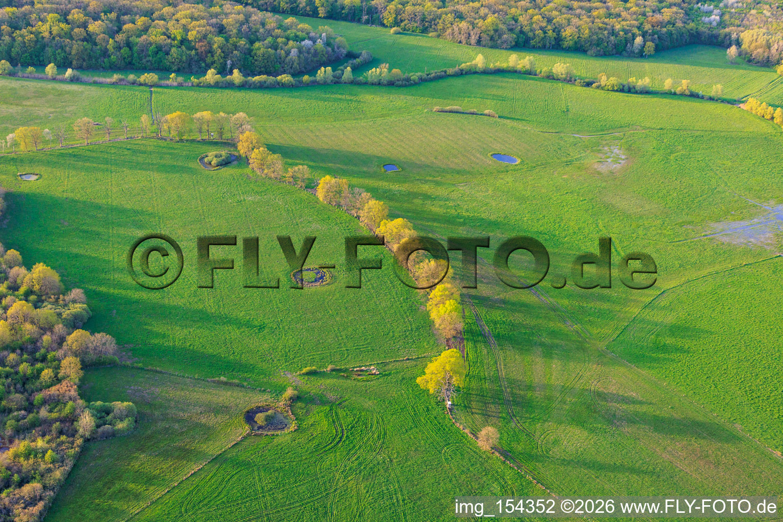 Circular waterholes in meadows in Grostenquin in the state Moselle, France
