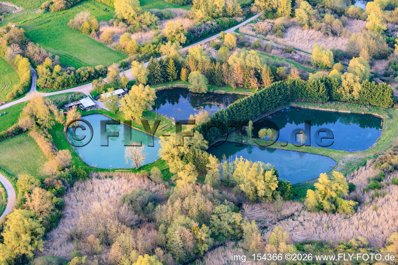 Four ponds on the millrace in Leyweiler in the state Moselle, France