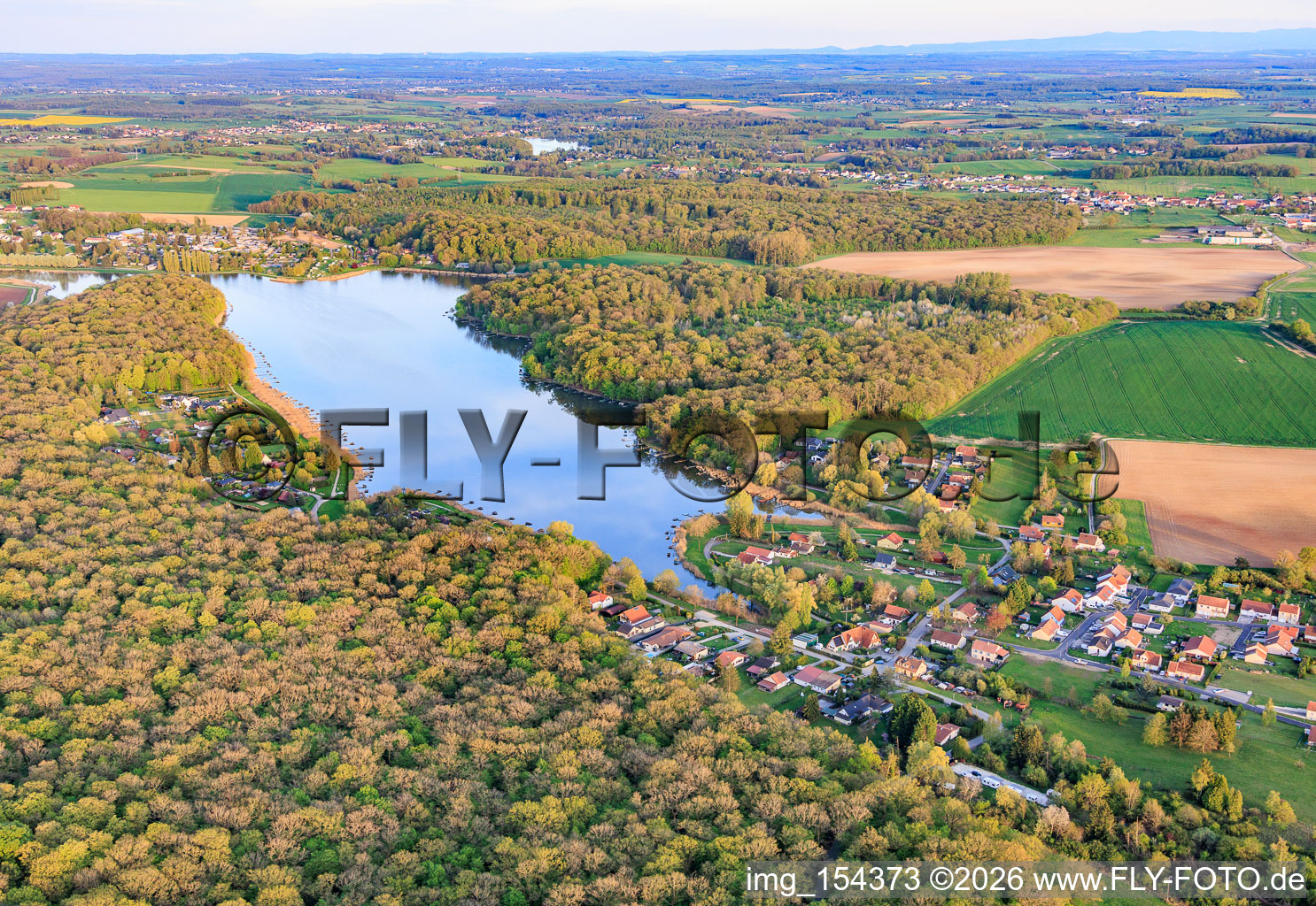 Etang des marais in the forest in Rémering-lès-Puttelange in the state Moselle, France