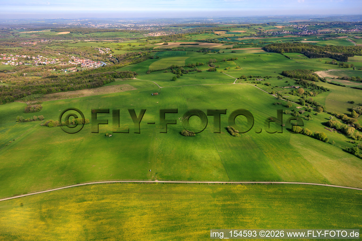 Sheep pastures of the Rimlinger farm in Achen in the state Moselle, France