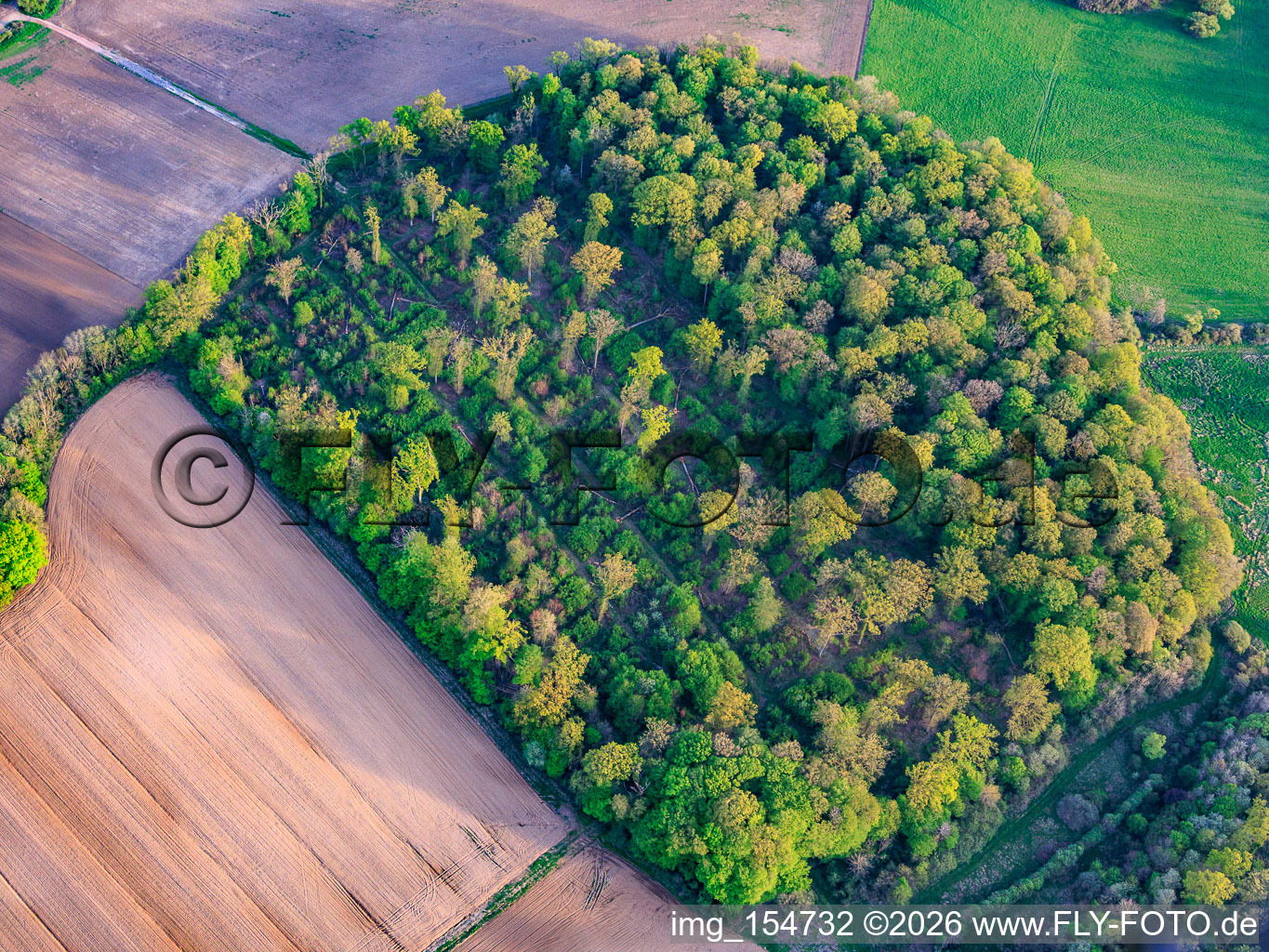 Overgrown plots at the former Grostenquin military airfield in Lixing-lès-Saint-Avold in the state Moselle, France